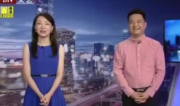 嘉善星派爆料最新消息视频,揭秘视频背后的惊人真相！